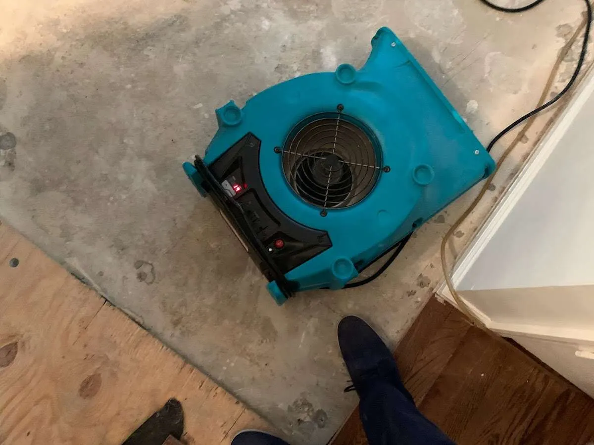 Air mover drying subfloor during Leak Detection & Repair in Palmer Town